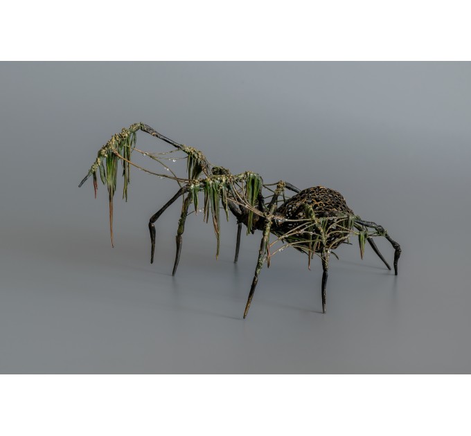 Collectible Handmade Black spider sculpture with a moss. OOAK