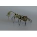 Collectible Handmade Black spider sculpture with a moss. OOAK