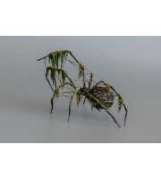 Collectible Handmade Black spider sculpture with a moss. OOAK