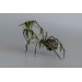 Collectible Handmade Black spider sculpture with a moss. OOAK