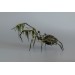 Collectible Handmade Black spider sculpture with a moss. OOAK