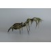 Collectible Handmade Black spider sculpture with a moss. OOAK