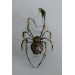 Collectible Handmade Black spider sculpture with a moss. OOAK