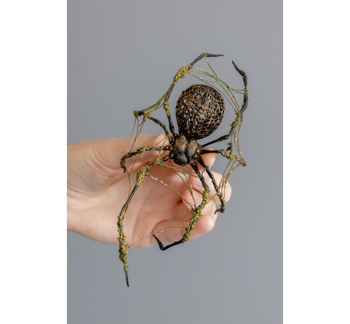 Collectible Handmade Black spider sculpture with a moss. OOAK