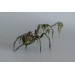 Collectible Handmade Black spider sculpture with a moss. OOAK