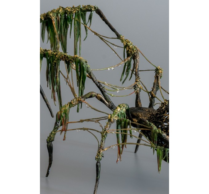 Collectible Handmade Black spider sculpture with a moss. OOAK