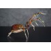 Collectible Handmade Fire spider sculpture. OOAK