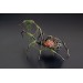 Collectible Handmade black spider sculpture with a rose and moss 