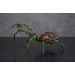 Collectible Handmade black spider sculpture with a rose and moss 