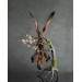 Collectible phoenix statue bird with sakura tree. Black fire bird