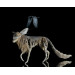  Sculpture wolf with a crow. Handmade from air-dry clay